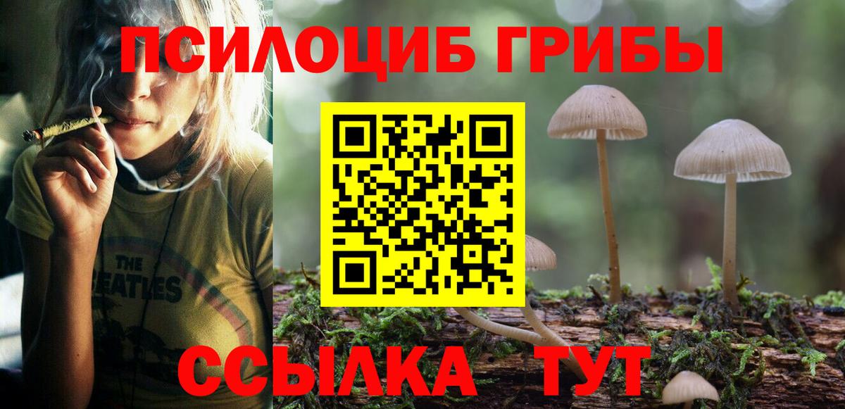 Псилоцибиновые грибы MAGIC MUSHROOMS Шелехов
