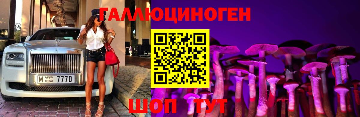 Шелехов  Галлюциногенные грибы MAGIC MUSHROOMS  Вход с VPN 
