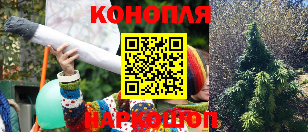Каннабис индика  Вход с VPN  Шелехов  Шишки марихуана OG Kush  Бошки Шишки планчик  Шишки марихуана конопля 
